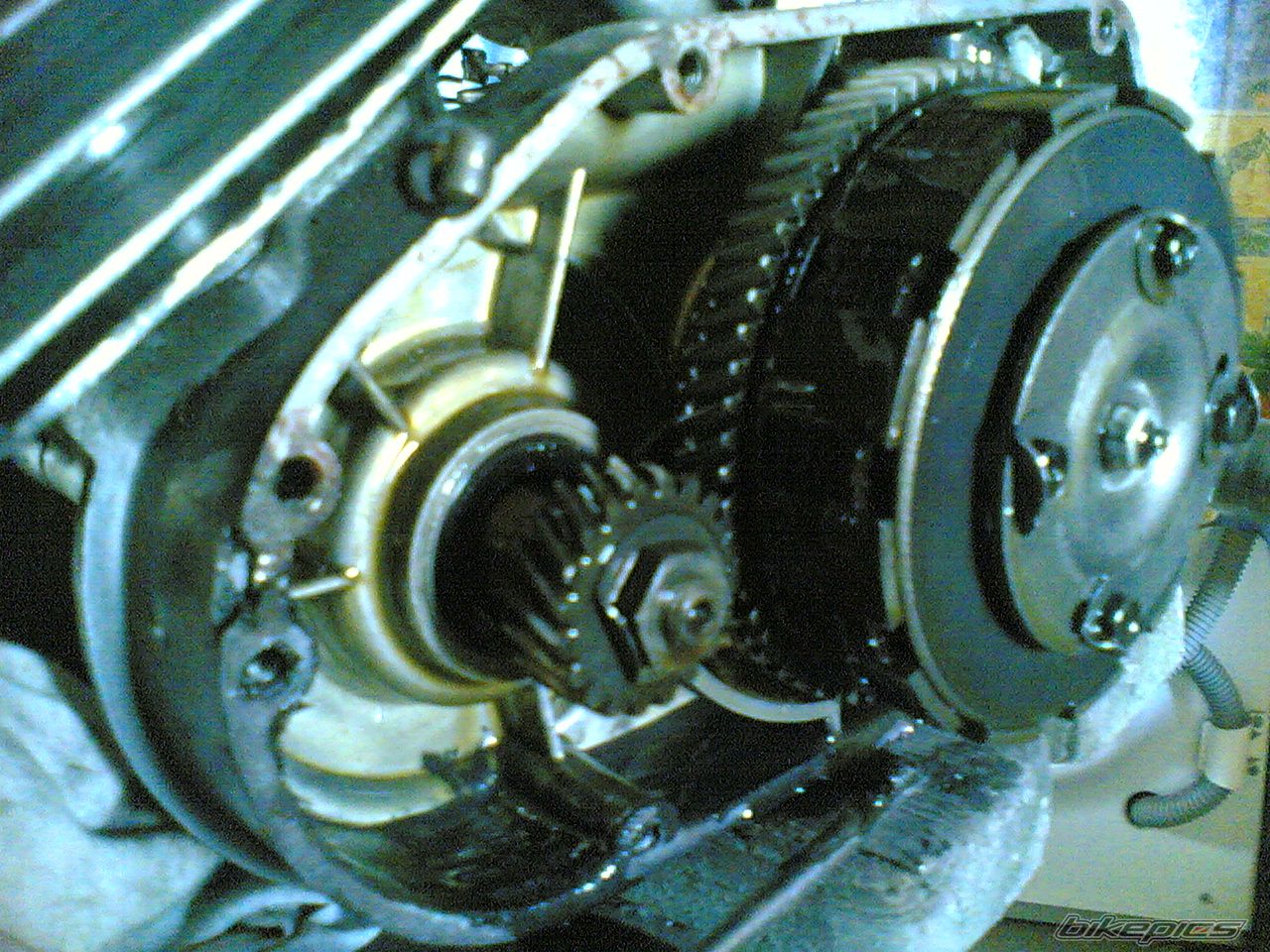 Photo 1101568