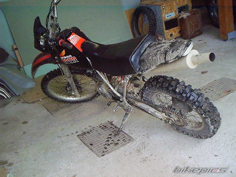 Photo 1101689