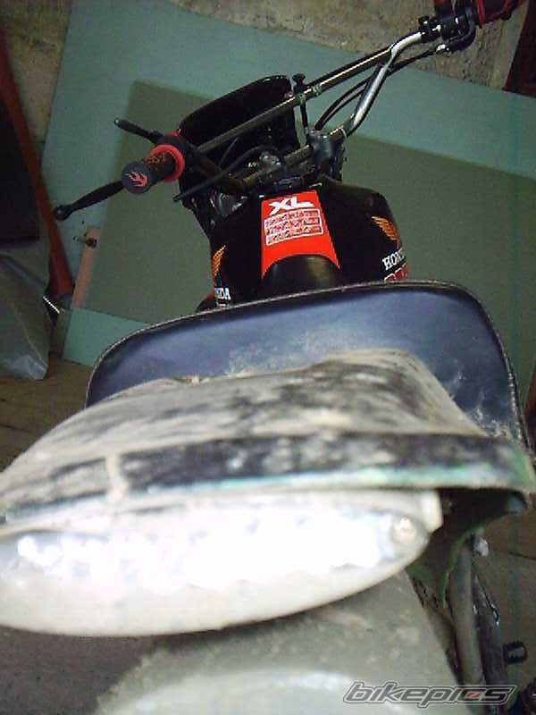 Photo 1101694