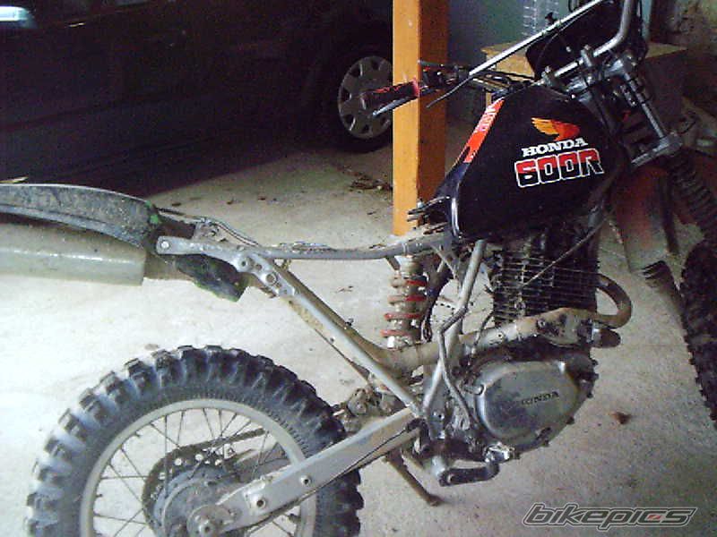 Photo 1101698