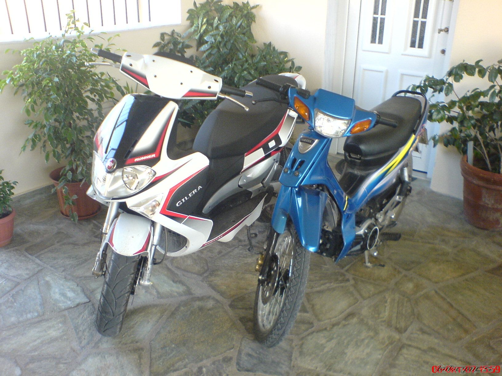 Photo 1101785