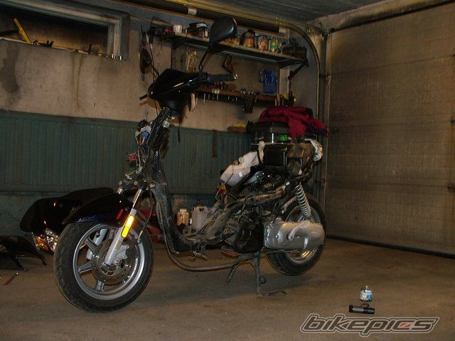 Photo 1101832