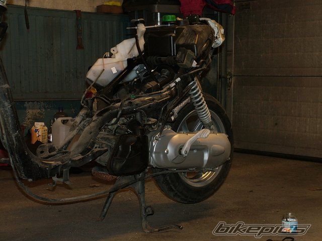 Photo 1101833