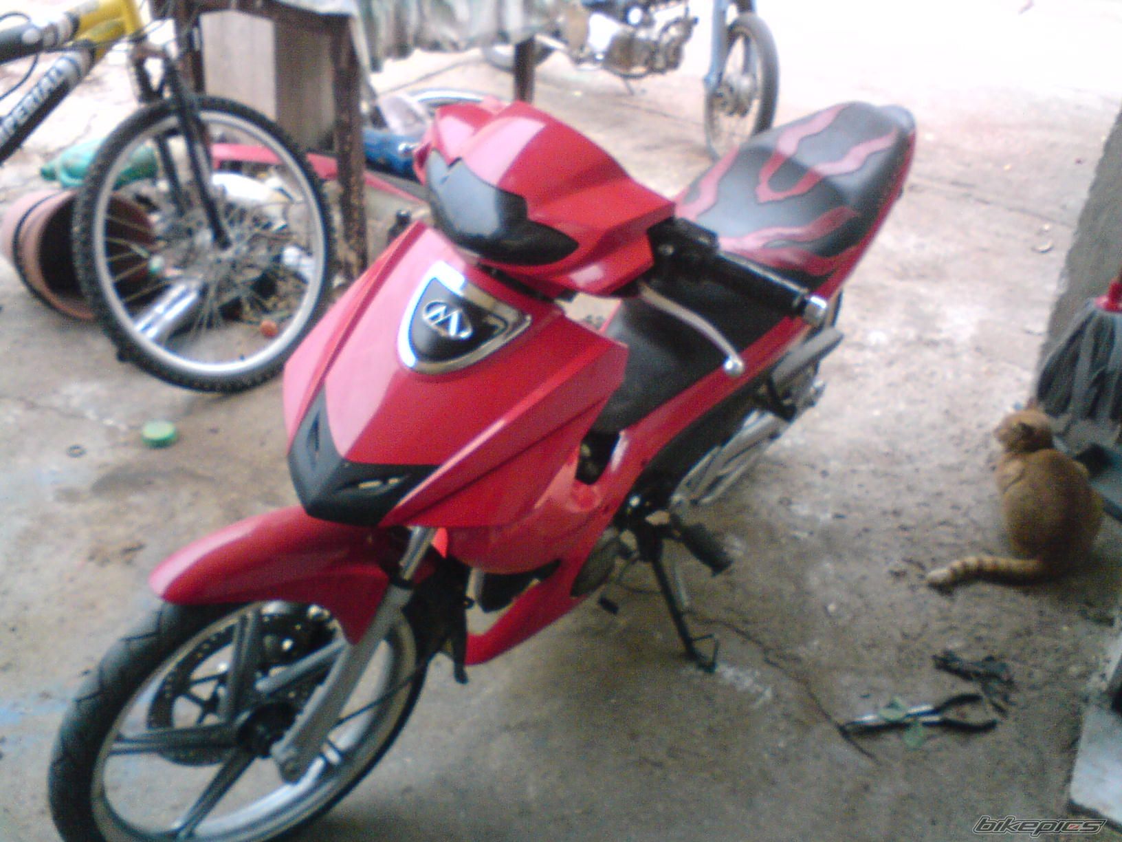 Photo 1101871