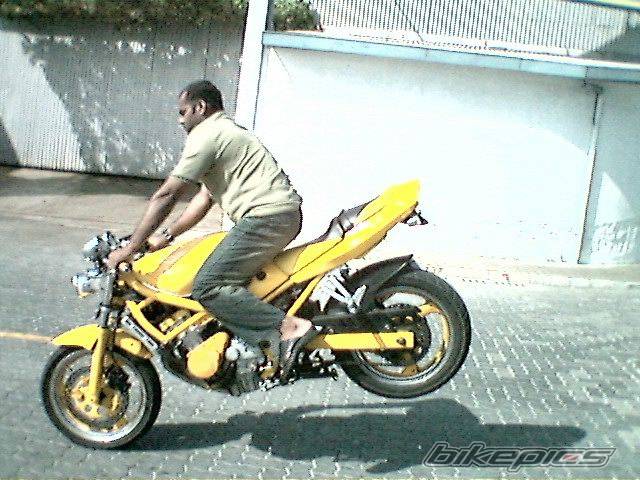 Photo 110191