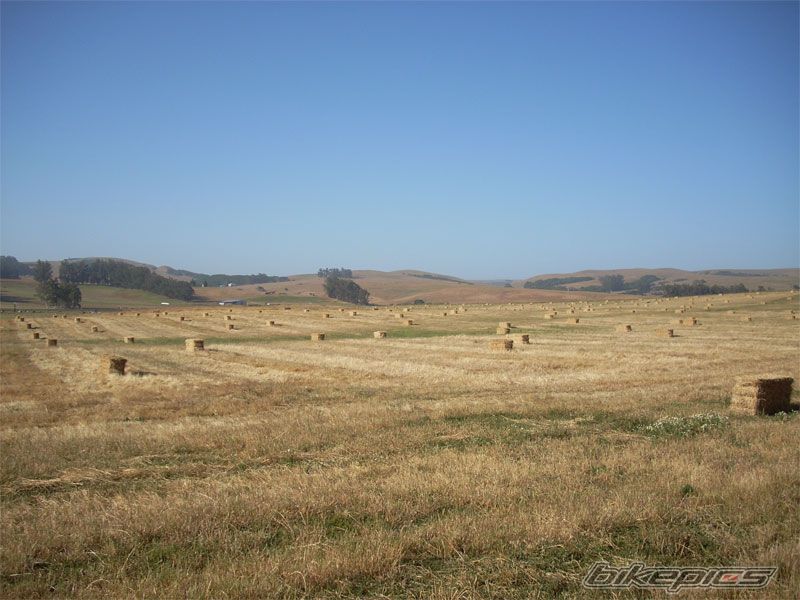Photo 1102035