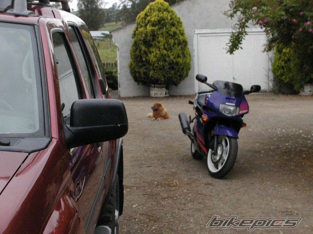 Bike Photo 1102045