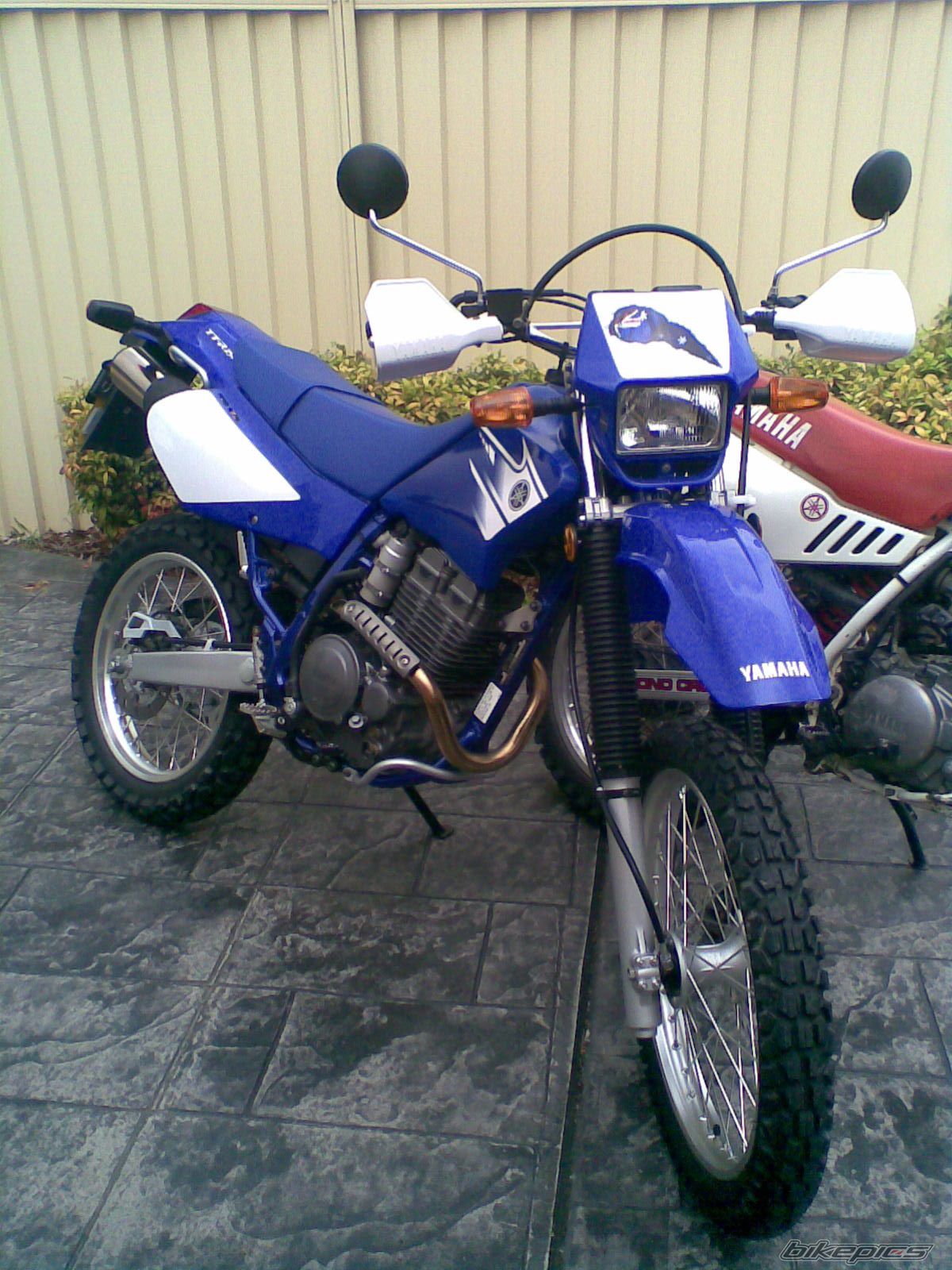 Photo 1102075