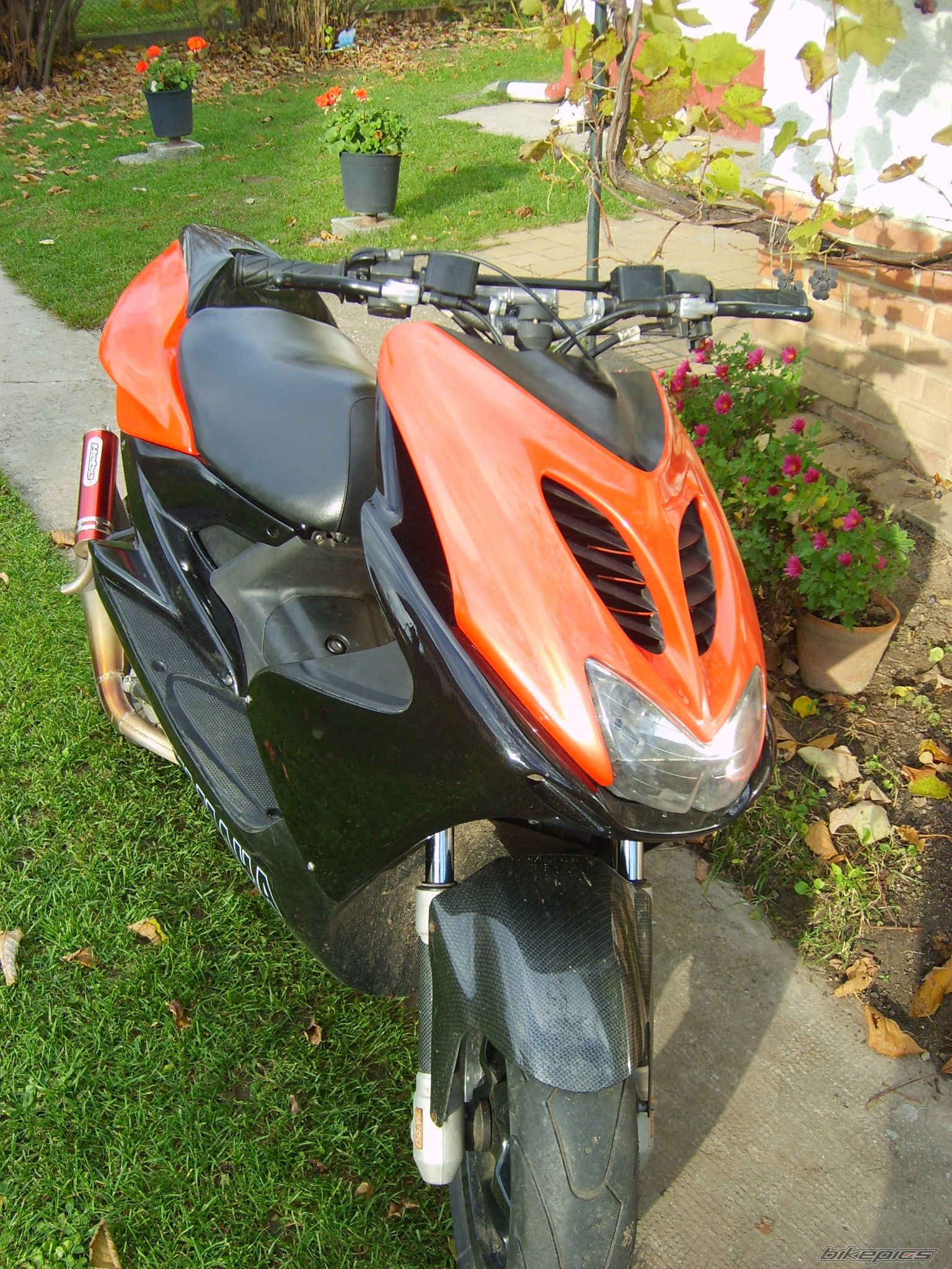 Photo 1102095