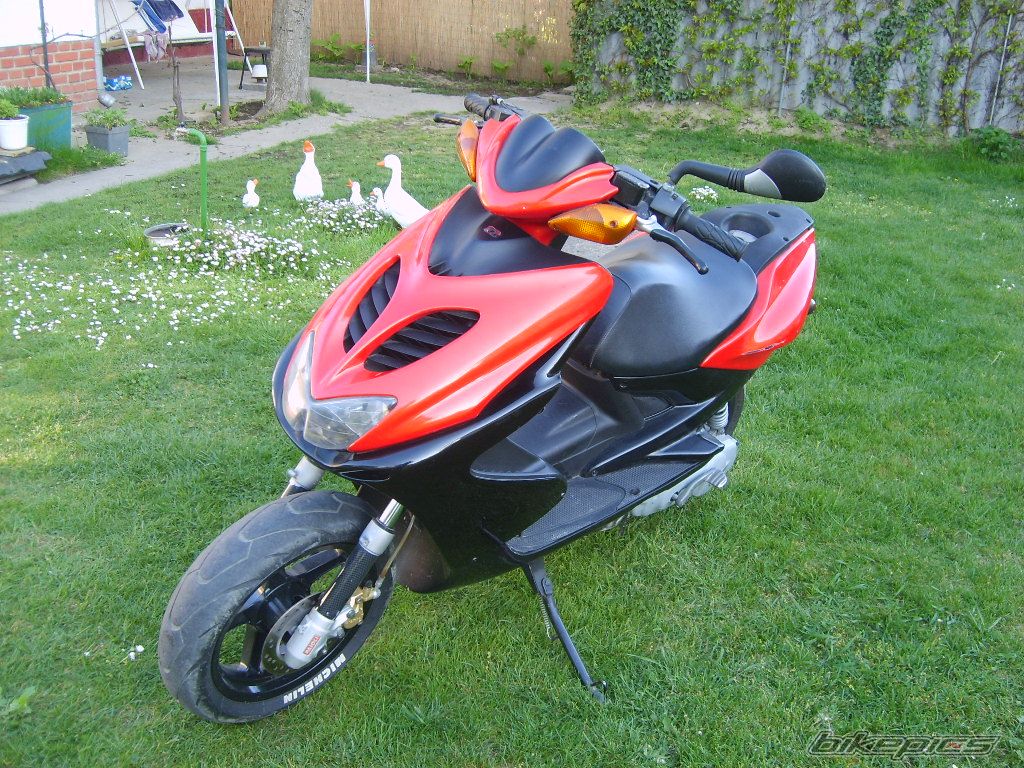 Photo 1102099