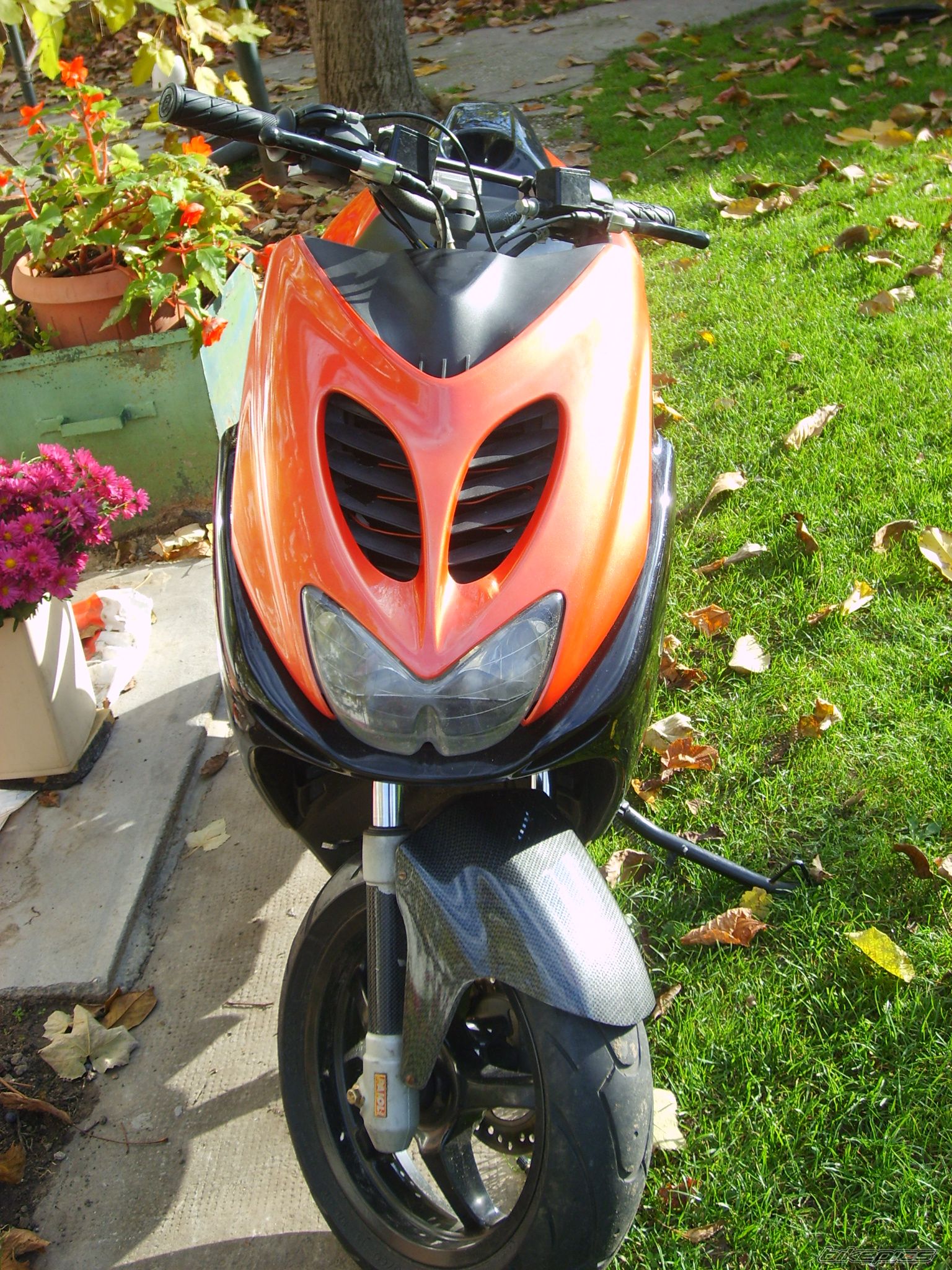 Photo 1102109