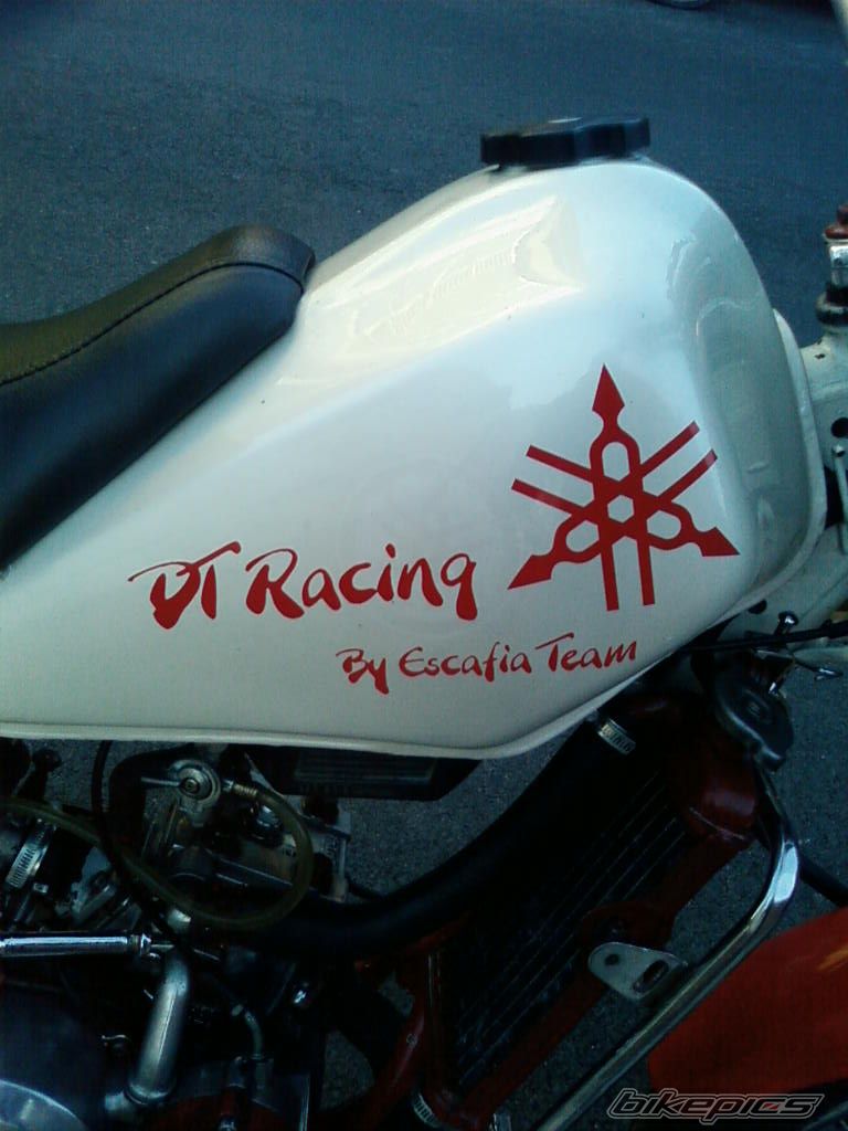 Photo 1102177