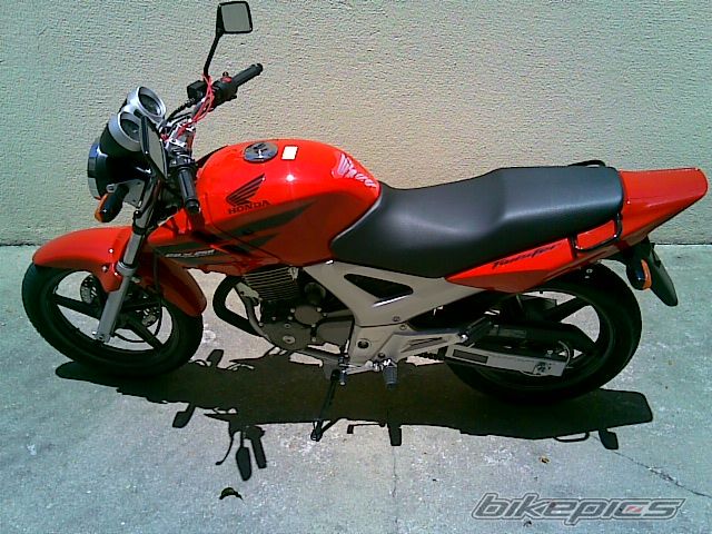 Photo 1102182