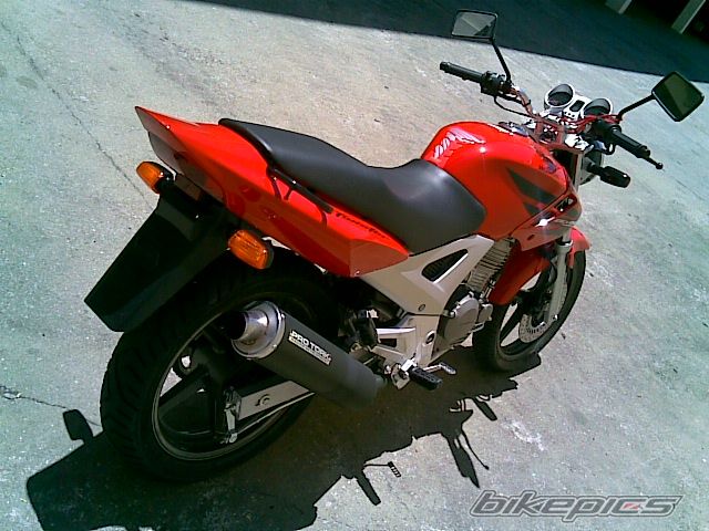 Photo 1102187