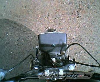 Photo 110230