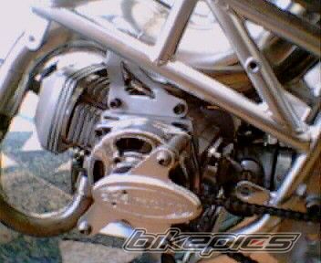 Bike Photo 1102419