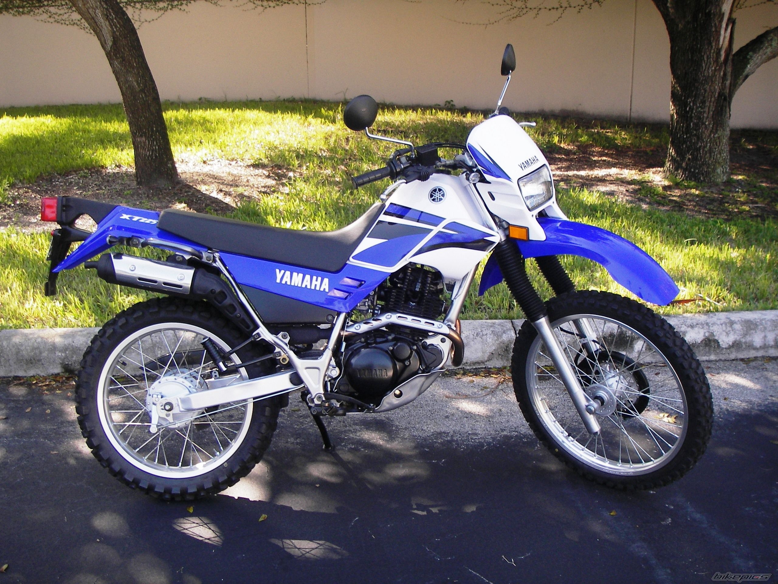 Photo 1102439