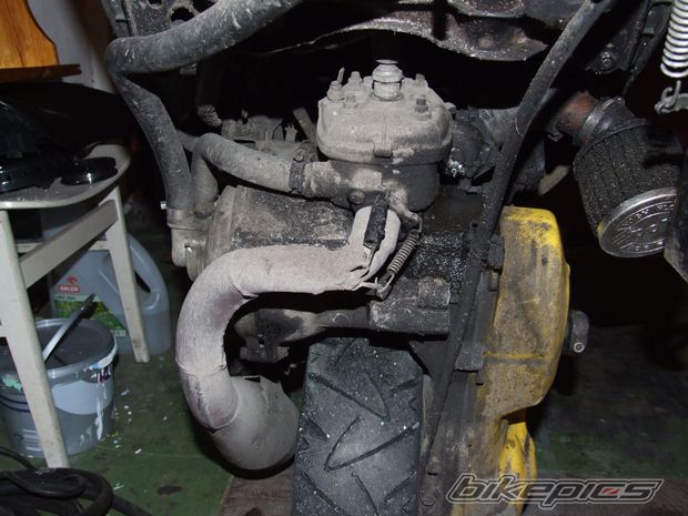 Photo 1102457