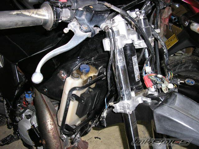 Photo 1102507