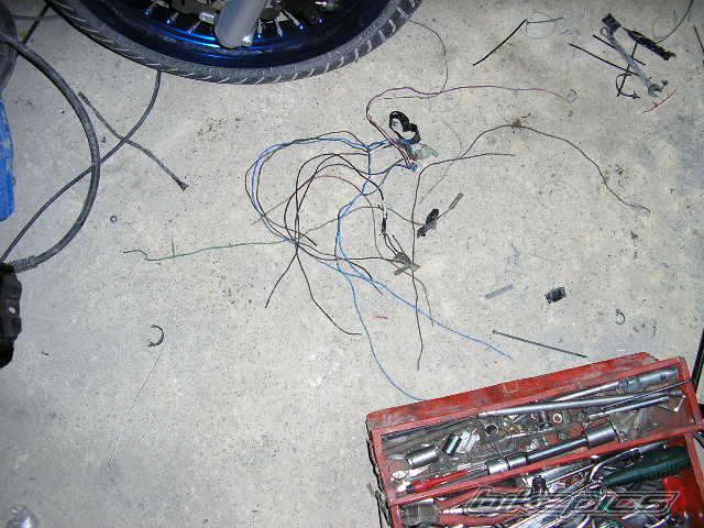 Photo 1102519