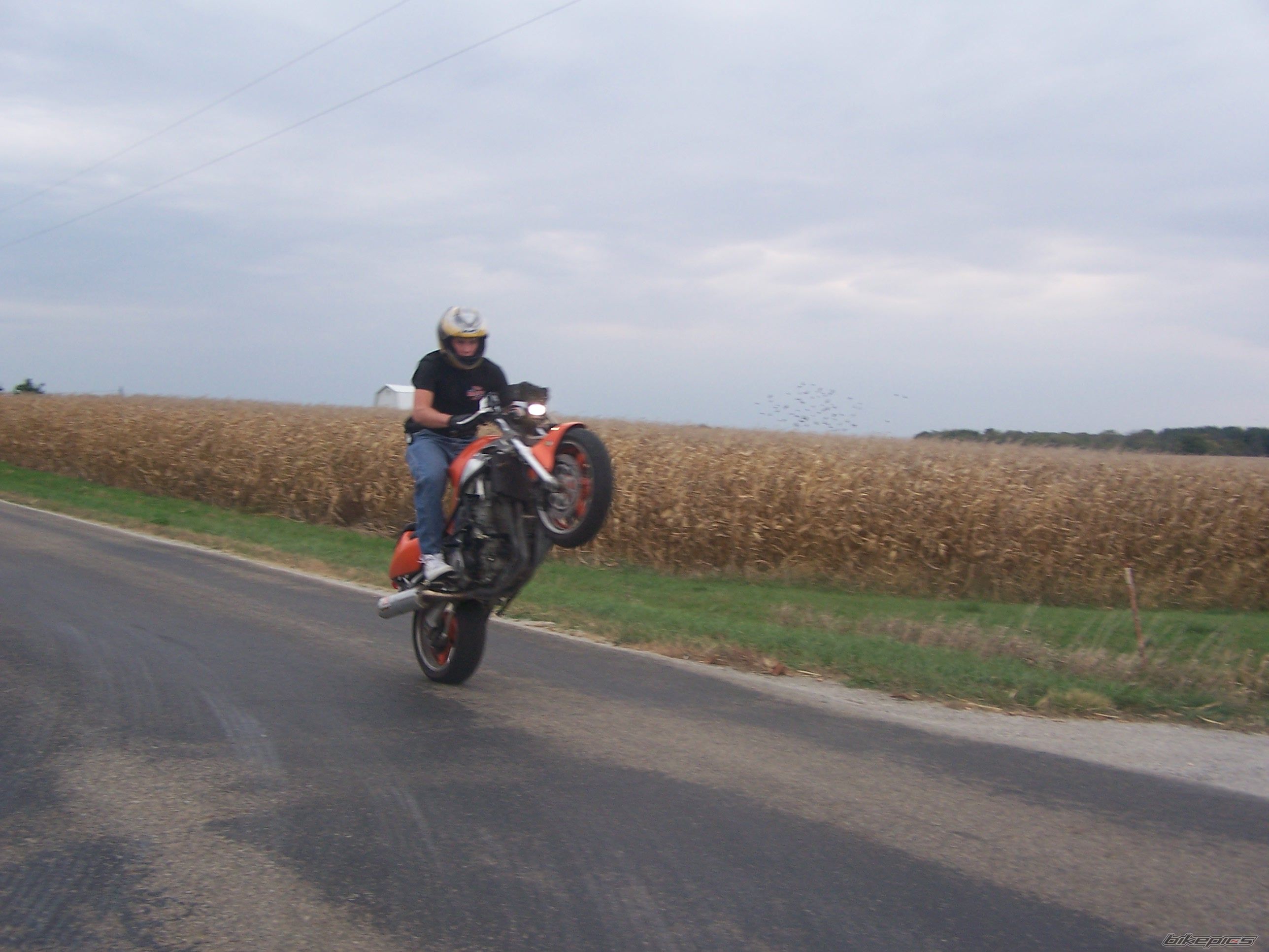 Photo 1102627