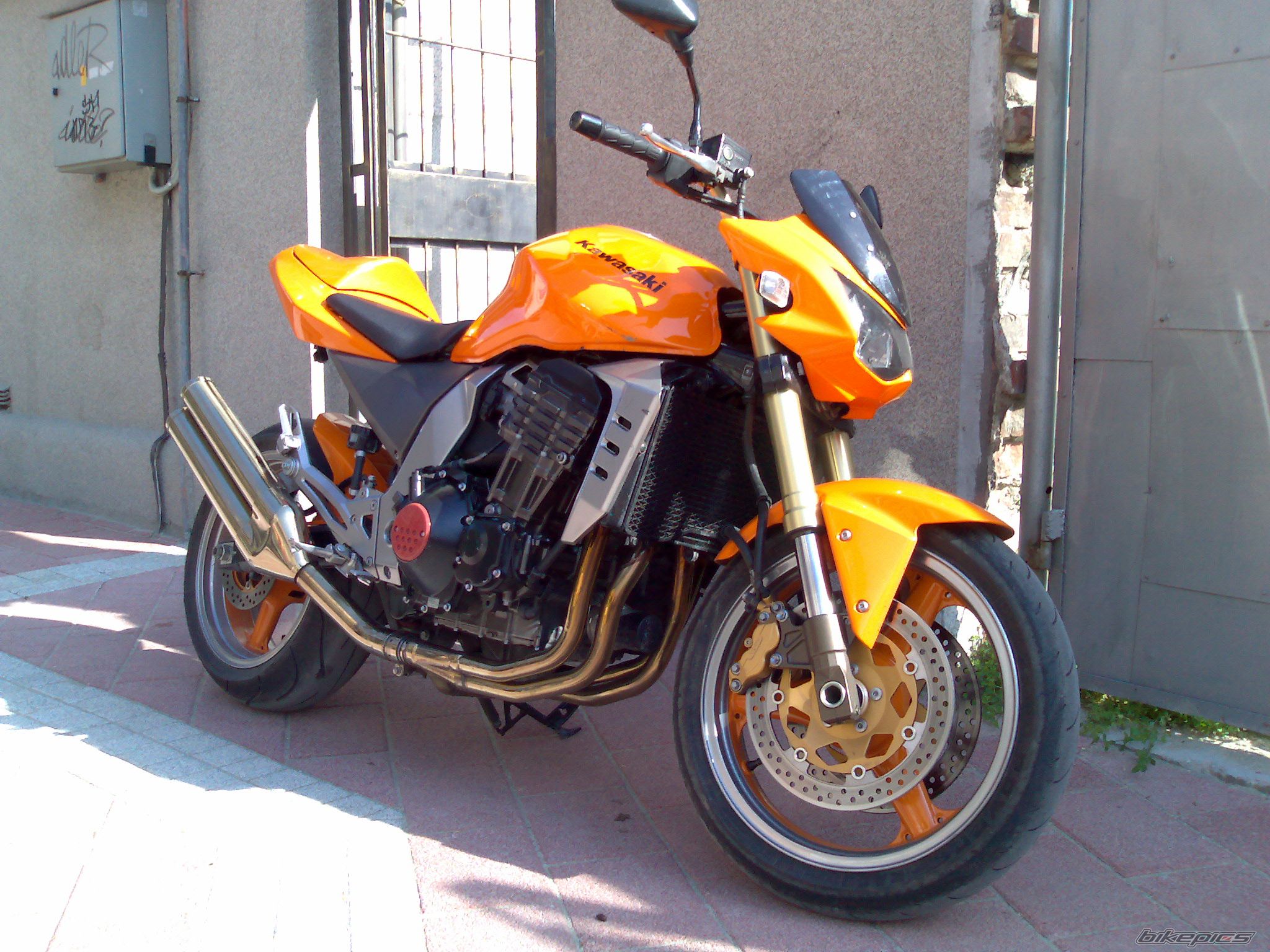 Photo 1102638
