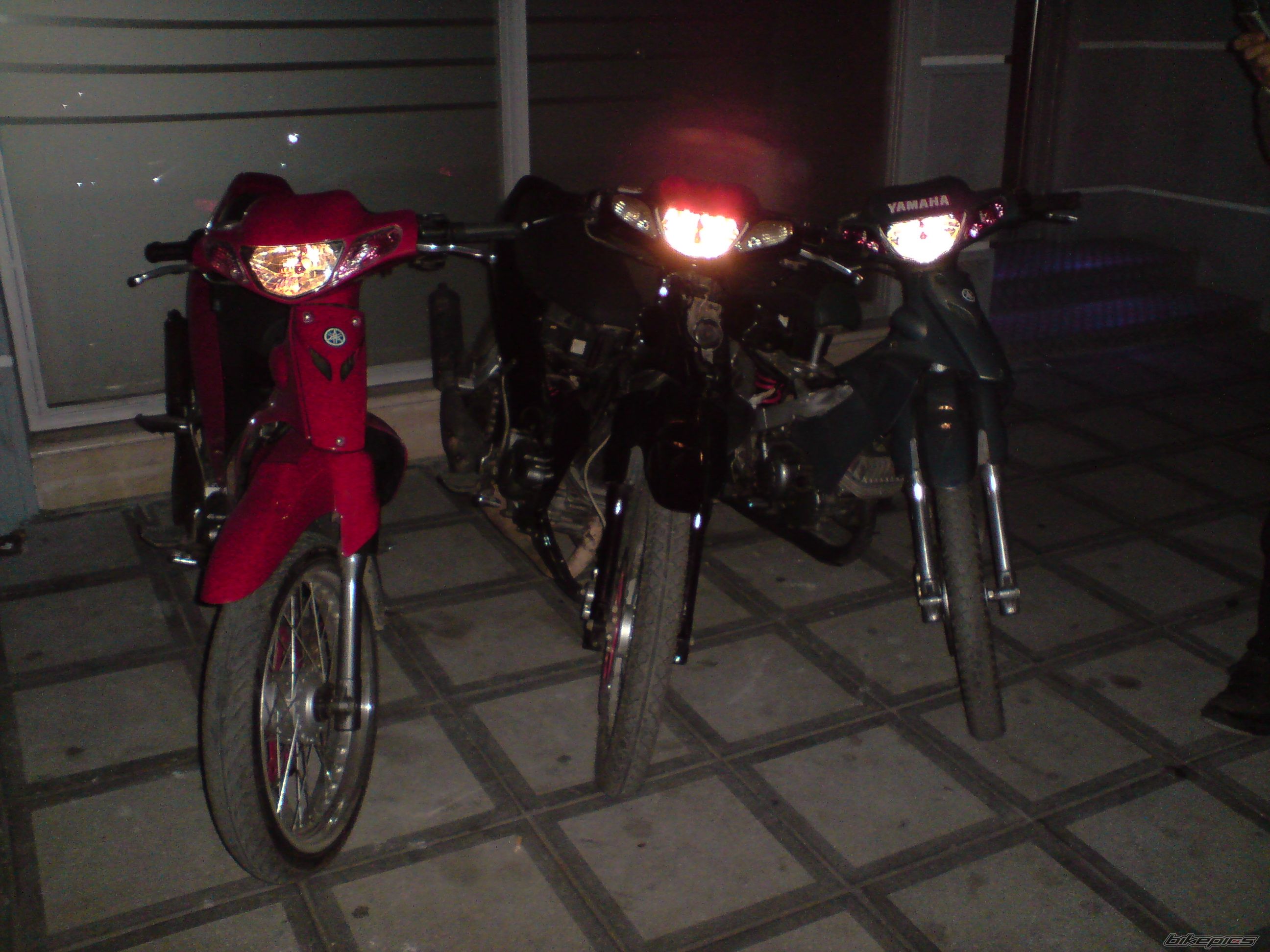 Photo 1102645