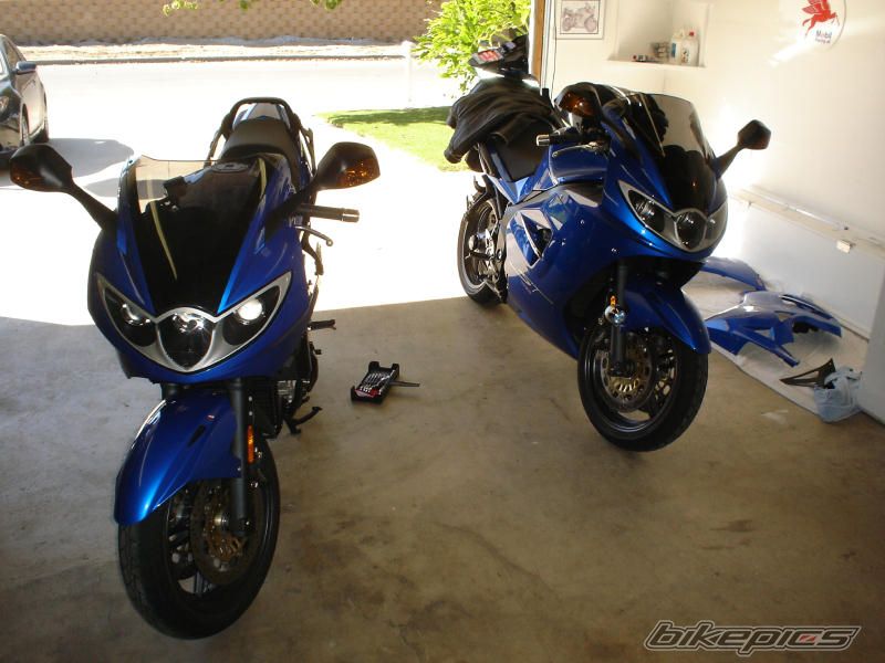 Photo 1102666