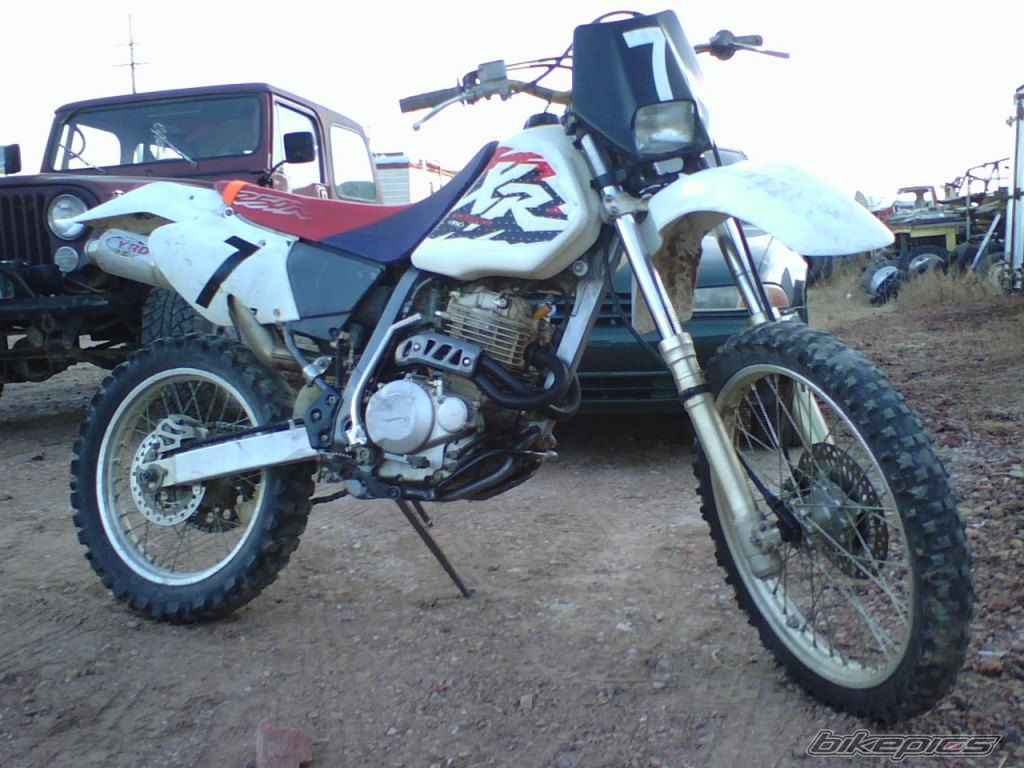 Photo 1102670