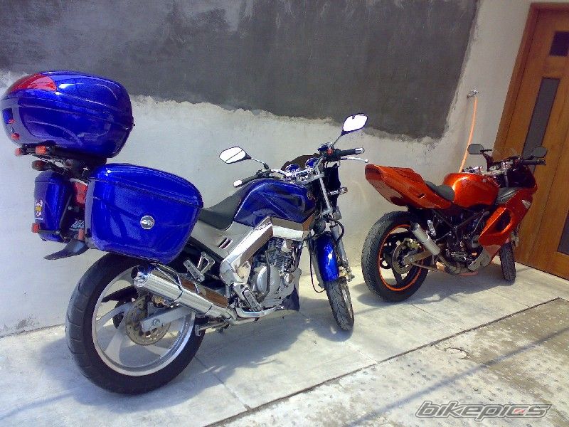Photo 1102783
