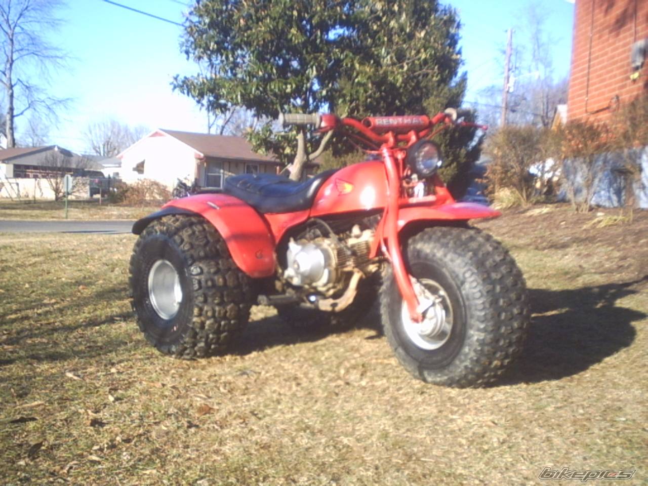 Photo 110285