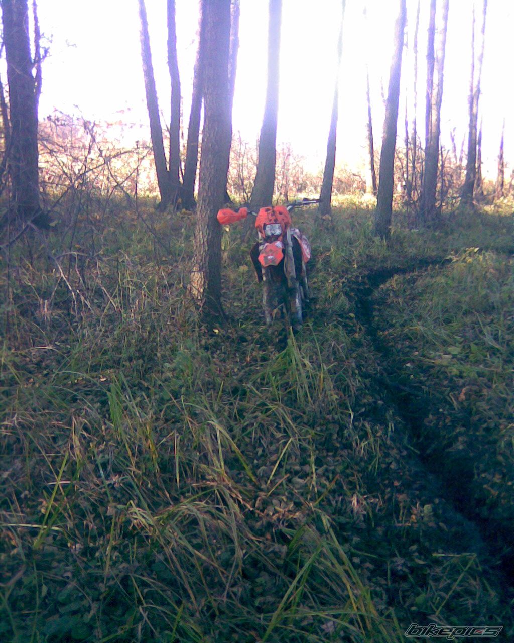 Photo 1102859