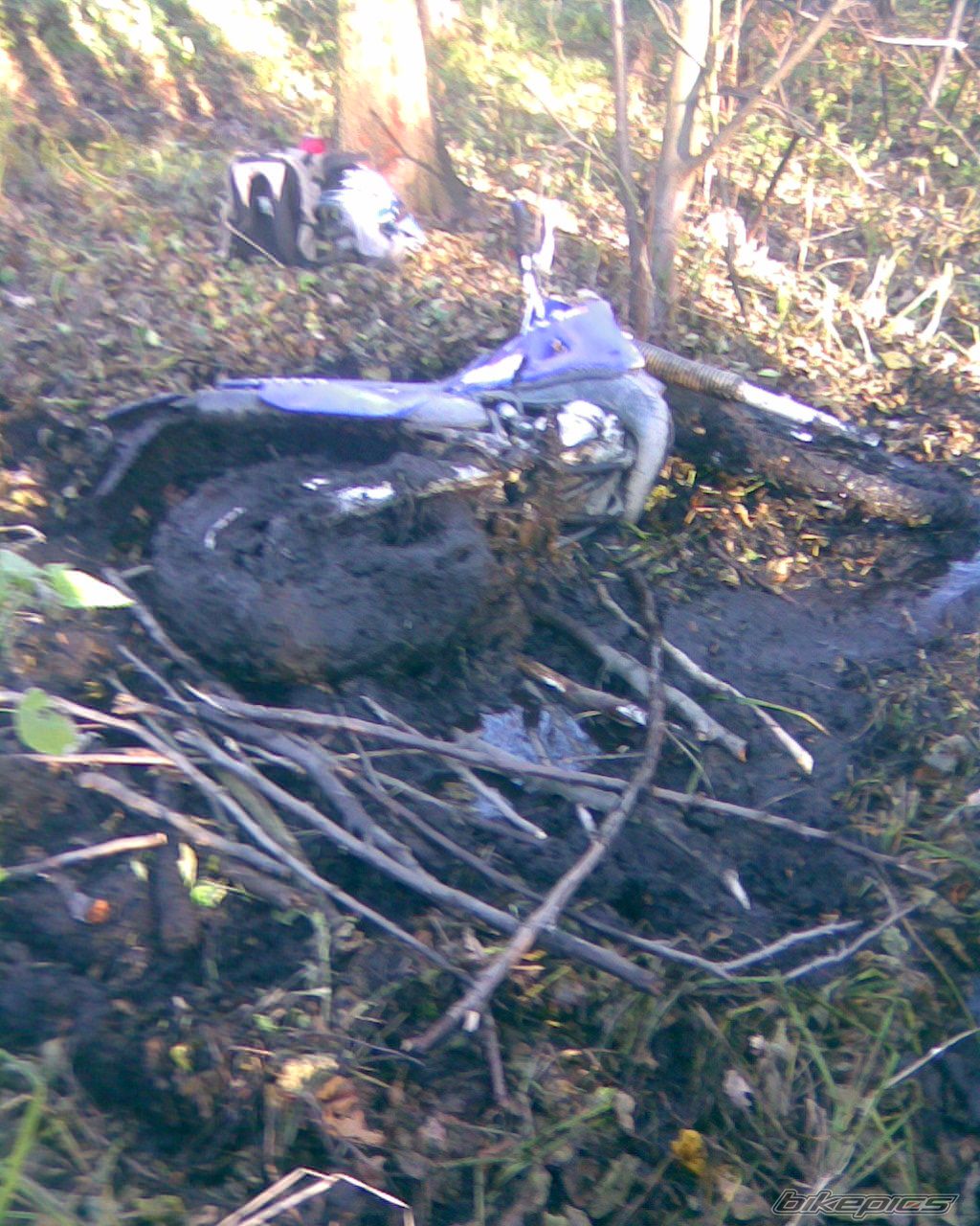 Photo 1102861