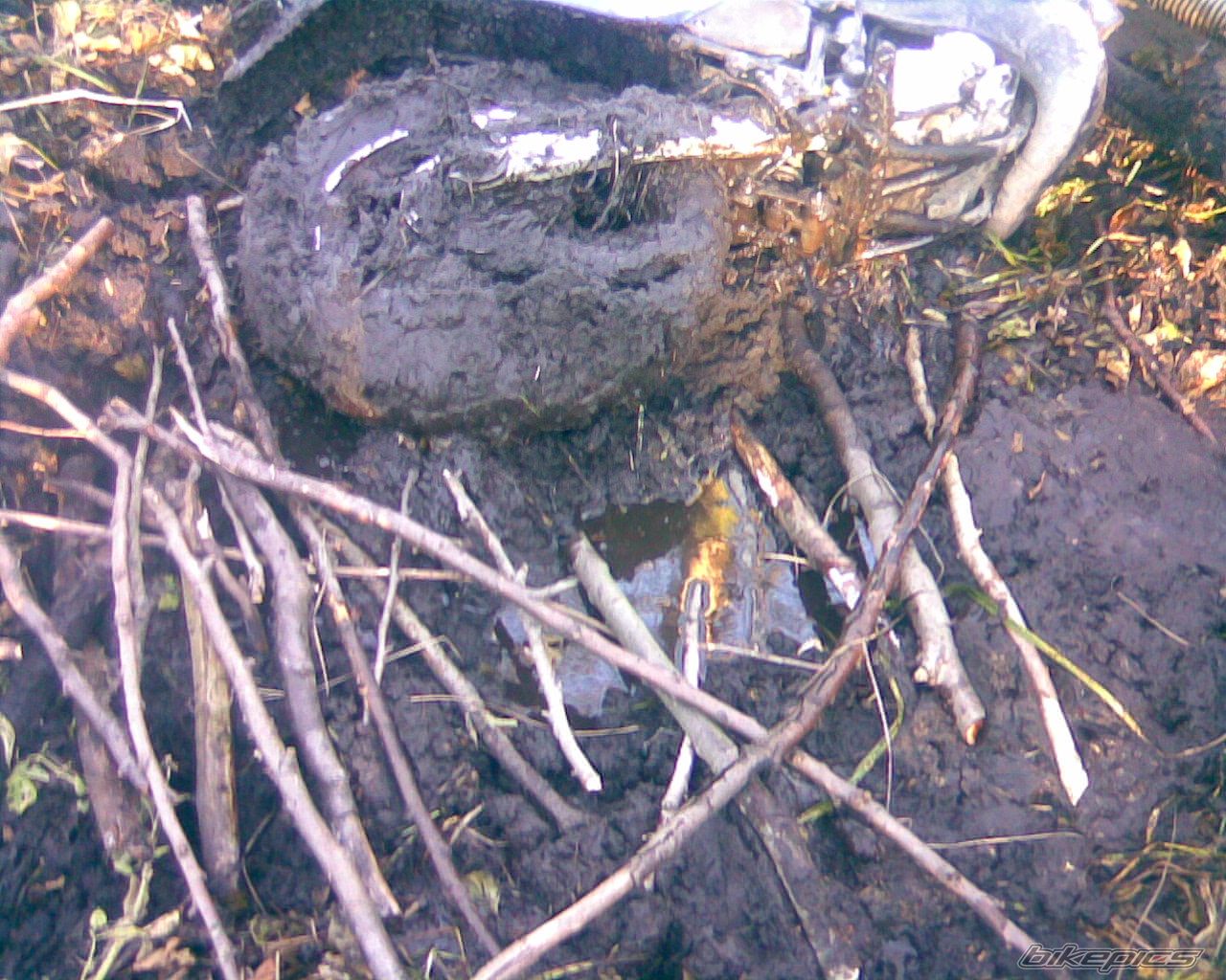 Photo 1102864
