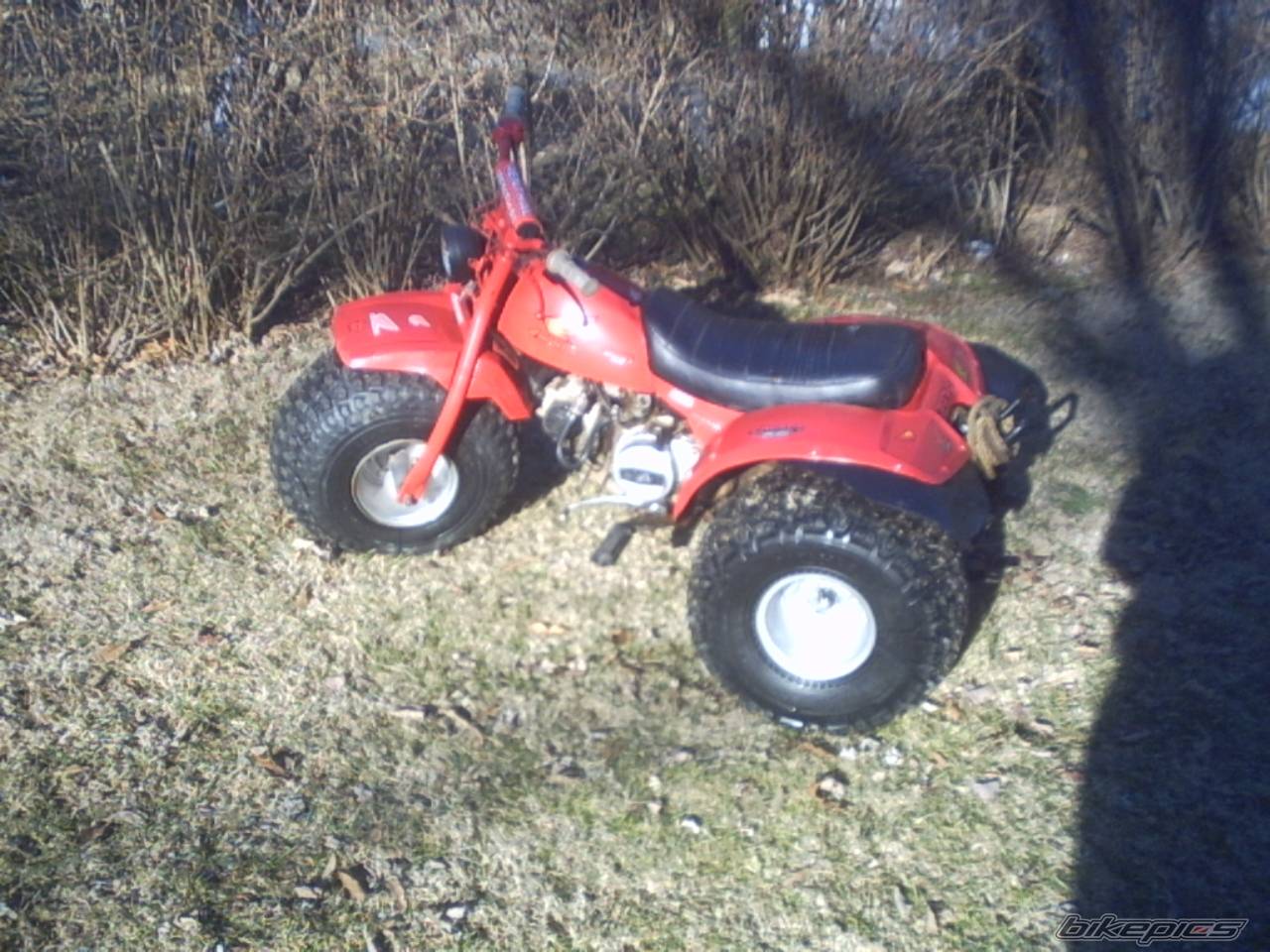 Photo 110287