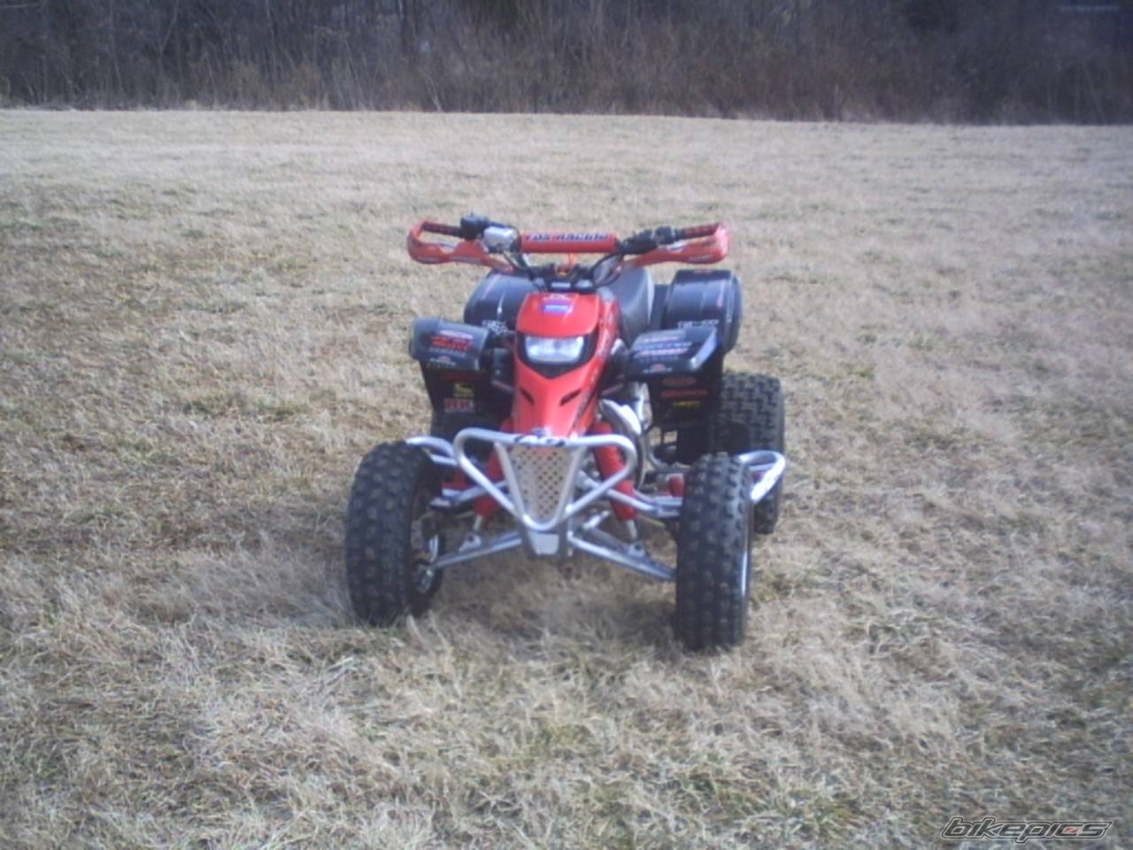 Photo 110293