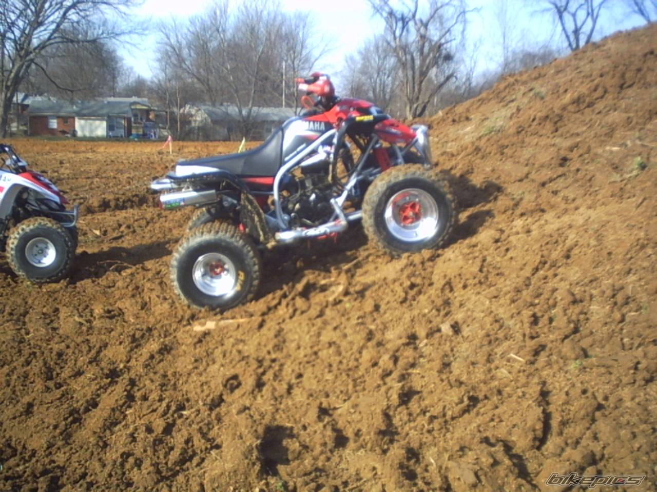 Photo 110294