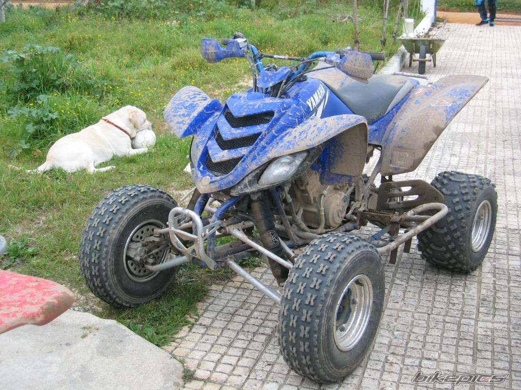 Photo 110311