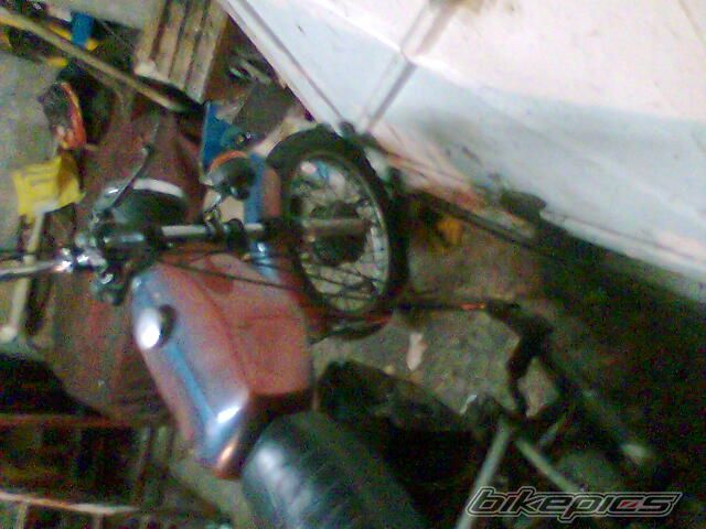 Photo 1103255