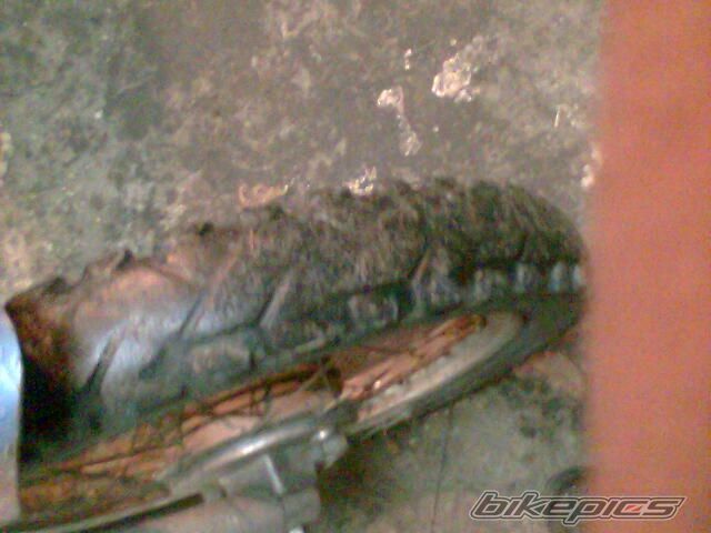Photo 1103260