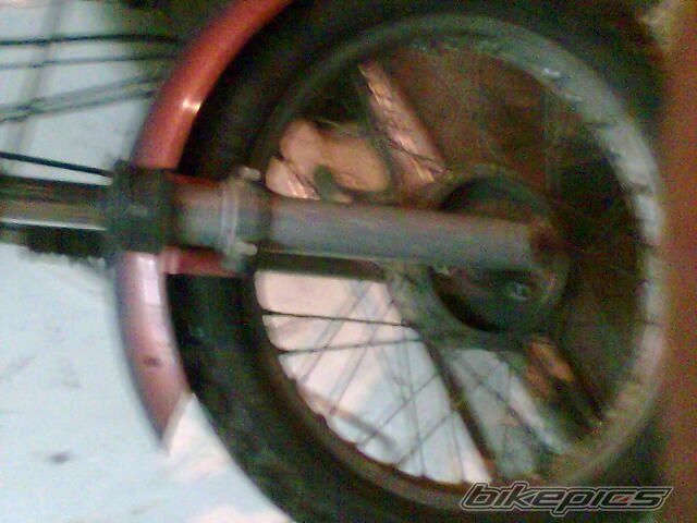 Photo 1103261