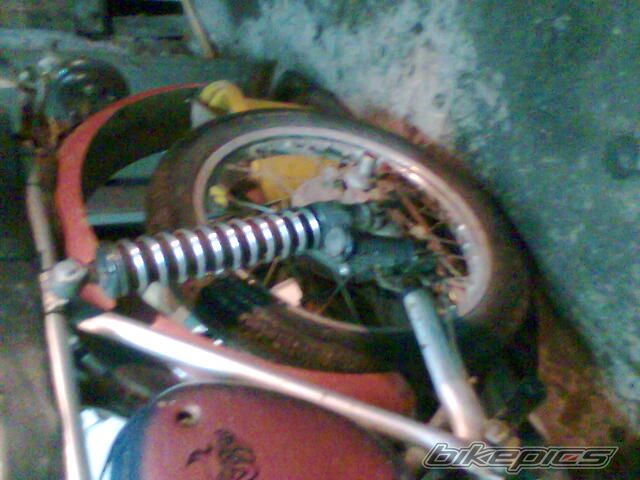 Photo 1103264
