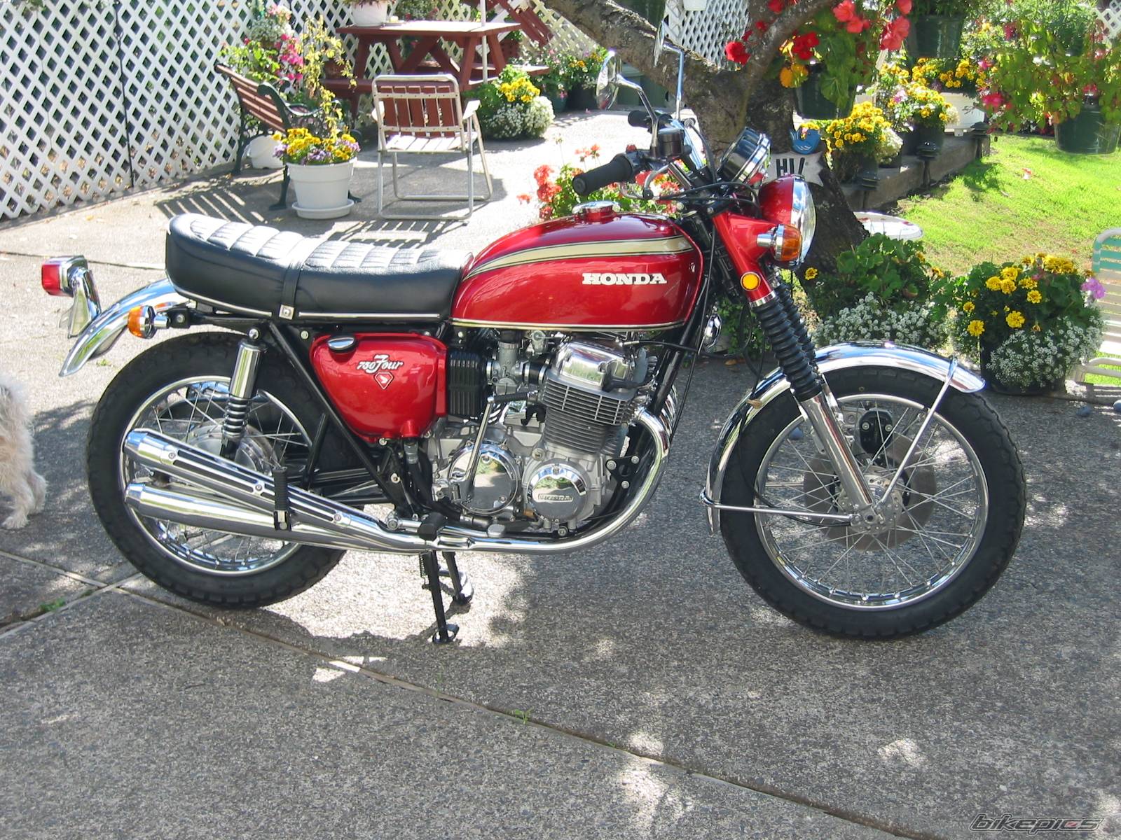 Bike Photo 110338