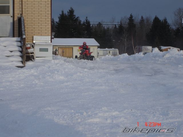 Photo 1103446