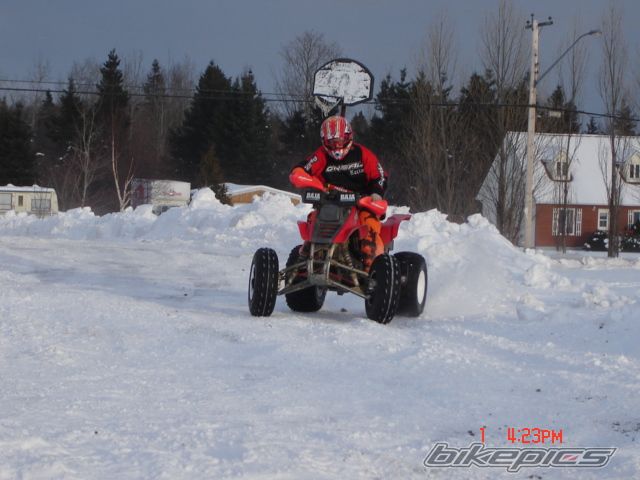 Photo 1103449