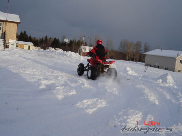 Photo 1103456