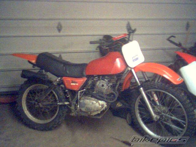 Photo 110353