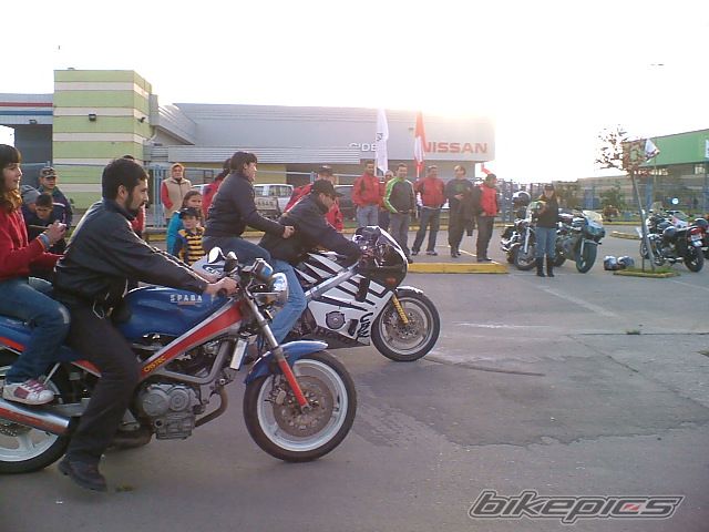 Photo 1103603