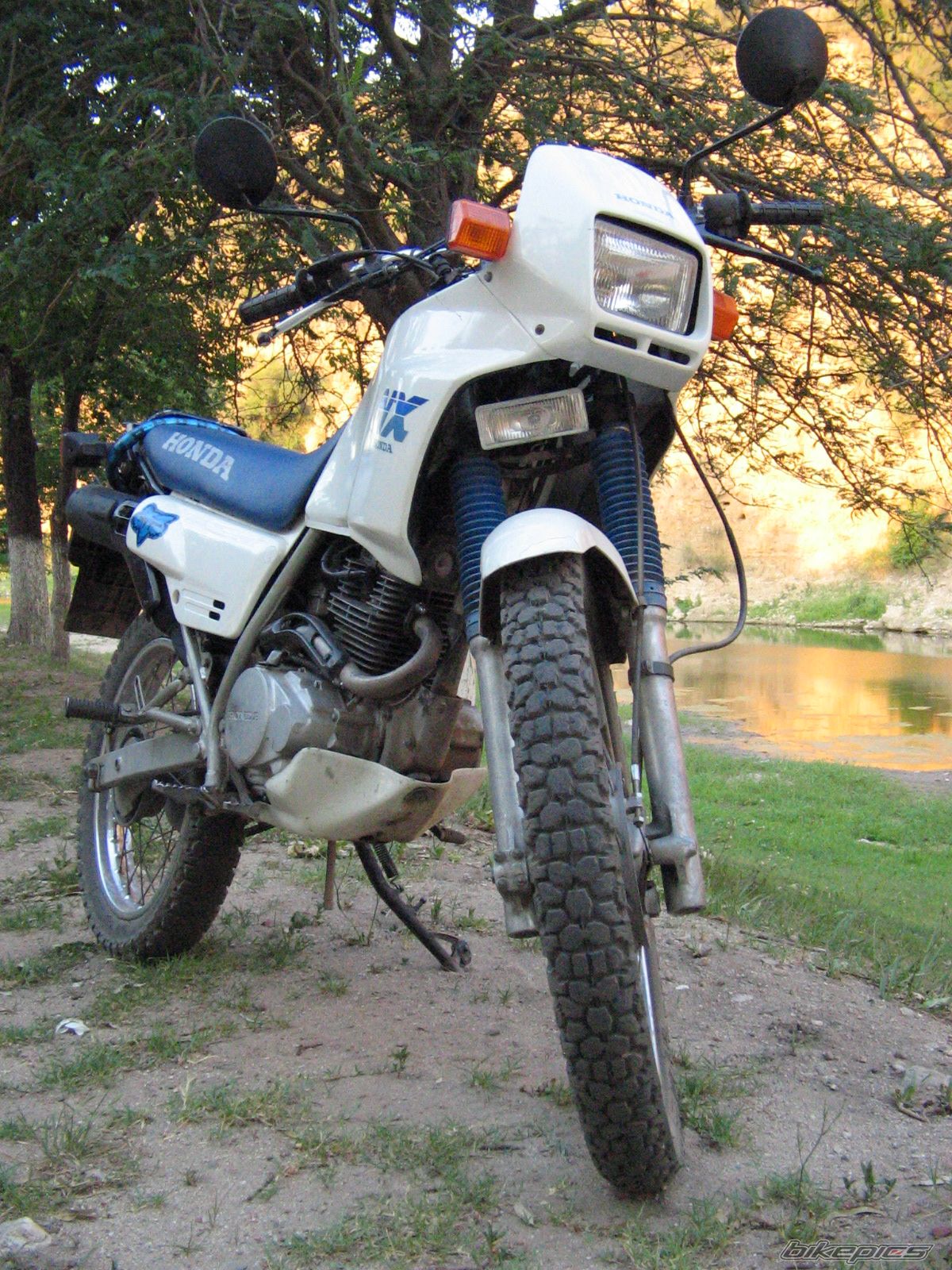 Photo 1103636