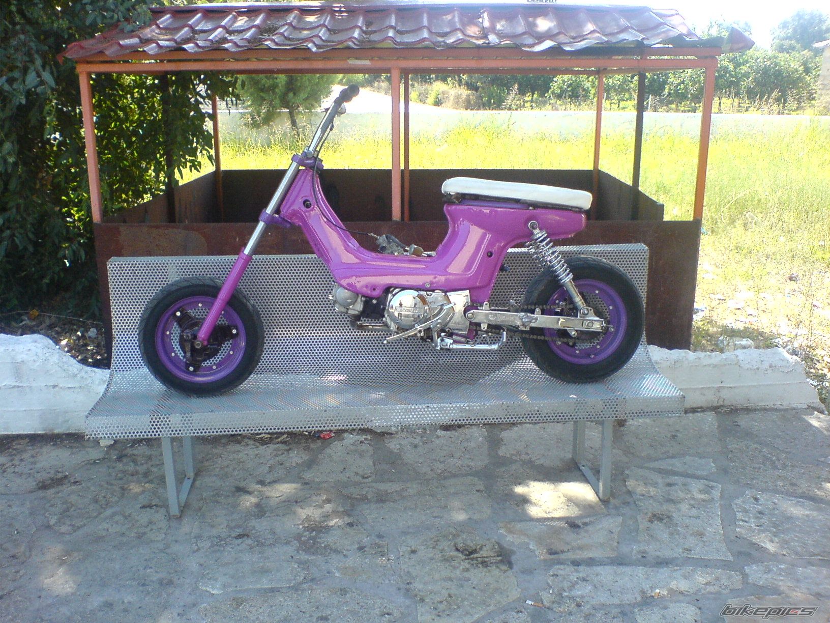 Photo 1103695